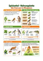 Vorschau - Arbeitsblätter - Nahrungskette Wald, Nahrungsnetz Übersicht + Aufgaben – Biologie Sek I Klasse 5-7 - Deckblatt