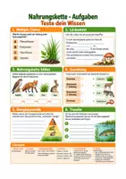 Vorschau - Arbeitsblätter - Nahrungskette Wald, Nahrungsnetz Übersicht + Aufgaben – Biologie Sek I Klasse 5-7 - Seite 1