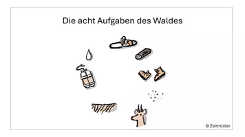 Vorschau - Poster - Die Aufgaben des Waldes - Seite 1