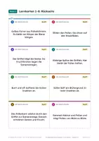 Vorschau - Poster - Bestäubung Blüte Biene Poster 5-6 - Seite 3