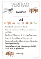 Vorschau - Merkblätter - SchülerInnen Vertrag: Beobachten und Umgang mit Insekten - Deckblatt