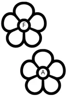 Aperçu - Apprentissages en autonomie - Fleur des sons - Page 1