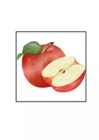 Vorschau - Bildkarten - Obst & Gemüse 🍎🥕 | Bildkarten für Bee-Bot | 15 × 15 cm - Seite 1