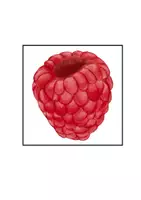 Vorschau - Bildkarten - Obst & Gemüse 🍎🥕 | Bildkarten für Bee-Bot | 15 × 15 cm - Seite 3
