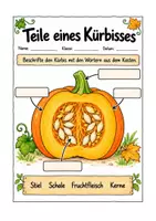 Vorschau - Unterrichtsreihen - Der Kürbis eine handlungsorientierte Einheit im SU Herbst - Seite 1
