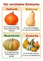 Vorschau - Unterrichtsreihen - Der Kürbis eine handlungsorientierte Einheit im SU Herbst - Seite 3