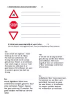 Voorbeeld - toets - thema strap ik niet verkeerd in het verkeer - Pagina 1