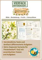 Vorschau - Unterrichtsreihen - Pflanzen: Blüte, Bestäubung, Frucht, Fotosynthese – Biologie Klasse 5 bis 7 - vierfach differenziert inkl. eigener Förderversion / DaZ-Version - Deckblatt