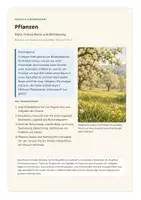 Vorschau - Unterrichtsreihen - Pflanzen: Blüte, Bestäubung, Frucht, Fotosynthese – Biologie Klasse 5 bis 7 - vierfach differenziert inkl. eigener Förderversion / DaZ-Version - Seite 1