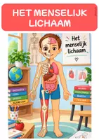 Voorbeeld - Het menselijk lichaam: bundel + woordenkaarten - 2de leerjaar GO! - Voorblad