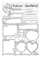 Vorschau - Arbeitsblätter - Steckbrief Katze - Seite 2