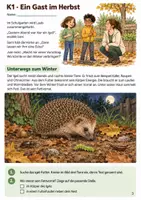 Vorschau - Stundenentwürfe - Igel und Winterschlaf – Mission Igelquartier | Sachunterricht Klasse 3-4 - Seite 2