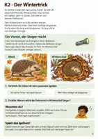 Vorschau - Stundenentwürfe - Igel und Winterschlaf – Mission Igelquartier | Sachunterricht Klasse 3-4 - Seite 3