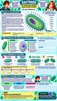 Vorschau - Stundenentwürfe - 🦠🧫 Viren & Bakterien – Biologie (Bio) Klasse 9/10 🔬 | Aufbau & Vermehrung | Arbeitsblätter ✏️ + Lösungen ✅ + Einstieg 💡 + Ausstieg 🔄 + Unterrichtsplanung ⏱️ - Seite 1