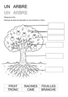 Aperçu - Feuilles d'exercices - Les différentes parties de l'arbre (maternelle, cycle 2) - Page 2