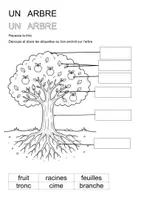 Aperçu - Feuilles d'exercices - Les différentes parties de l'arbre (maternelle, cycle 2) - Page 3