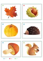 Vorschau - Spiele - Herbst – Bildkarten | Wortschatz Herbst | 40 Karten mit Artikelpunkten in zwei Größen | Kita Grundschule - Seite 2