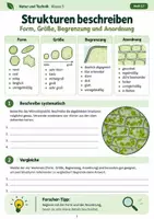 Vorschau - Stundenentwürfe - Biologische Strukturen beobachten & zeichnen – Mikroskopbilder beschreiben, deuten und dokumentieren | Natur und Technik Klasse 5 - Seite 2