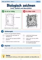Vorschau - Stundenentwürfe - Biologische Strukturen beobachten & zeichnen – Mikroskopbilder beschreiben, deuten und dokumentieren | Natur und Technik Klasse 5 - Seite 3