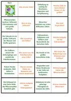 Vorschau - Arbeitsblätter - Zelle | Unterrichtsmaterial | Quiz | Rätsel | Spiel | Biologie | Klasse 5-8 | mit Lösungen - Seite 1