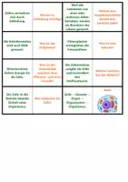 Vorschau - Arbeitsblätter - Zelle | Unterrichtsmaterial | Quiz | Rätsel | Spiel | Biologie | Klasse 5-8 | mit Lösungen - Seite 2
