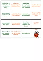 Vorschau - Arbeitsblätter - 2. Klasse XXL Paket | Quiz | Rätsel | Spiel | Unterrichtsmaterial | Biologie | Klasse 5-8 | mit Lösungen - Seite 3