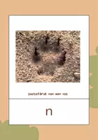 Voorbeeld - Speurtocht bosgeheimen - Pagina 3