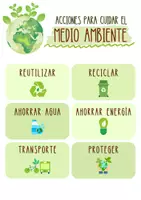 Vista previa - Hojas de trabajo - ACTIVIDADES MEDIO AMBIENTE - página 2