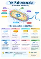 Vorschau - Poster - Bakterienzelle Aufbau Poster Biologie 9-10 - Deckblatt