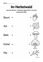 Vorschau - Arbeitsblätter - Herbstwörter lesen und zuordnen – 10 Arbeitsblätter mit Bildern | Erstes Lesen, Klasse 1 - Seite 3