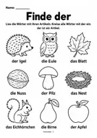 Vorschau - Arbeitsblätter - Nomen & Artikel im Herbst – der, die, das üben | 12 Arbeitsblätter mit Bildern - Seite 1