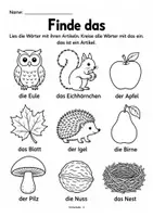 Vorschau - Arbeitsblätter - Nomen & Artikel im Herbst – der, die, das üben | 12 Arbeitsblätter mit Bildern - Seite 3