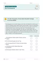 Vorschau - Unterrichtsreihen - Winter-Lesen – Klasse 3 und 4 – Miniheft Lesen und Verstehen mit großer Schrift - Seite 3