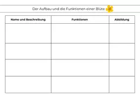 Vorschau - Arbeitsblätter - Aufbau und Funktionen einer Blüte – Zuordnungsaufgaben mit Lösung (Klasse 5/6) - Seite 1