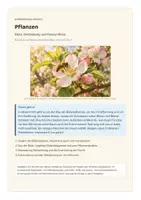 Vorschau - Unterrichtsreihen - Pflanzen: Blüte, Bestäubung, Fotosynthese – Biologie Klasse 5 bis 7 Gymnasium | Blütendiagramm, Befruchtung, van Helmont | mit Klassenarbeit und Erwartungshorizont - Seite 1