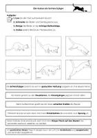 Vorschau - Arbeitsblätter - Die Katze als Schleichjäger – Bildergeschichte zum Ausschneiden und Ordnen mit Lösung | Biologie Klasse 5/6 - Deckblatt