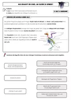 Vorschau - Arbeitsblätter - Warum können Vögel fliegen? – 4 Arbeitsblätter zu den Angepasstheiten an das Fliegen (Klasse 5/6, mit Lösungen) - Seite 2