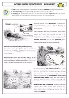 Vorschau - Arbeitsblätter - Amphibien brauchen doppelten Schutz – Warum und wie? | Arbeitsblatt zum Amphibienschutz (Klasse 5/6, mit Lösung) - Deckblatt