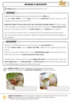 Vorschau - Arbeitsblätter - Vögel: Nesthocker und Nestflüchter / Arbeitsblatt mit Lösung (Klasse 5/6) - Deckblatt