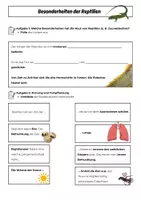 Vorschau - Arbeitsblätter - Reptilien: Besonderheiten der Reptilien, Arbeitsblätter mit Lösungen (Klasse 5/6) - Deckblatt