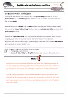 Vorschau - Arbeitsblätter - Reptilien: Besonderheiten der Reptilien, Arbeitsblätter mit Lösungen (Klasse 5/6) - Seite 3