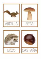 Vista previa - Tarjetas / Manipulativos - DOSSIER DE MATERIALES DE OTOÑO - página 2