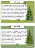 Vorschau - Poster - Nadelbäume Infokarten / Aushang / Wald / Sachunterricht - Seite 1