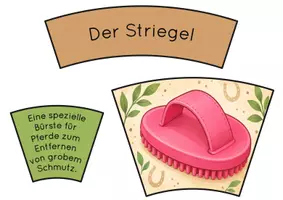 Vorschau - Interaktives Material - Pferde Legekreis – Was brauchen Pferde? | Haltung, Pflege & Sachunterricht - Seite 2