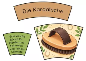 Vorschau - Interaktives Material - Pferde Legekreis – Was brauchen Pferde? | Haltung, Pflege & Sachunterricht - Seite 3