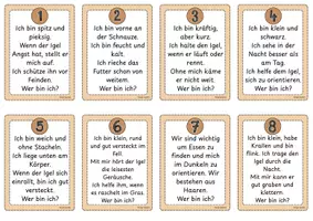 Vorschau - Arbeitsblätter - Körperbau Igel / Sachunterricht / 2.Klasse - Seite 1
