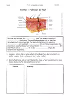 Vorschau - Arbeitsblätter - Abl. Funktionen der Haut und Hauttypen mit Lösung - Deckblatt