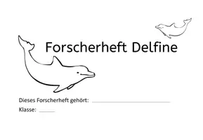 Vorschau - Unterrichtsreihen - Forscherheft zum Thema Delfine - Seite 2