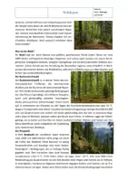 Vorschau - Arbeitsblätter - Ökosystem Wald: Waldtypen – Arbeitsblatt mit Lösung | Klasse 7/8 - Seite 1