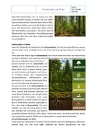 Vorschau - Arbeitsblätter - Ökosystem Wald: Stockwerke im Wald – Arbeitsblatt mit Lösung | Klasse 7/8 - Seite 1